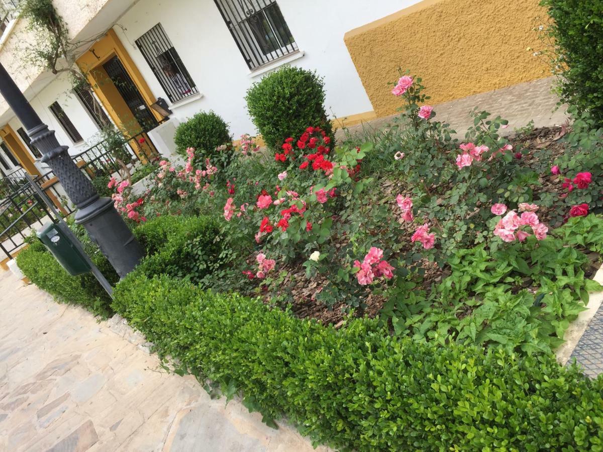 شقة Panoramic City Center Flat In أرويو دي لا ميل المظهر الخارجي الصورة